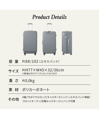 ACE BAGS & LUGGAGE HaNT ココント スーツケース 88/102L エキスパンド 05517 ハント バトゥ・グレー