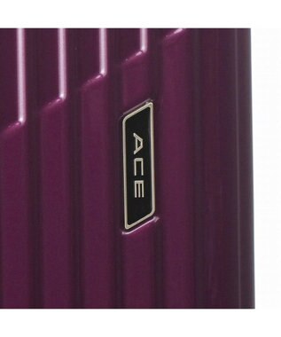 ACE BAGS & LUGGAGE ACE クレスタ スーツケース 5~7泊 64~70Ｌ エキスパンド機能 06317 エース ブラックカーボン