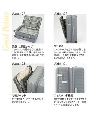 ACE BAGS & LUGGAGE HaNT ココント スーツケース 88/102L エキスパンド 05517 ハント バトゥ・グレー