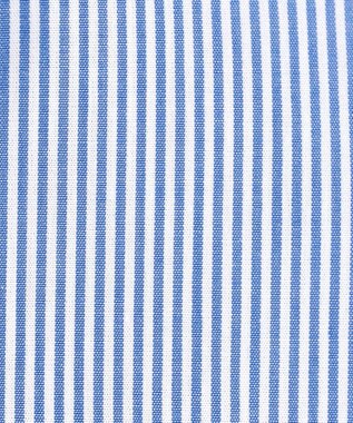 J.PRESS LADIES 【WEB限定カラーあり】COTTON TEX ブラウス ブルーストライプ系