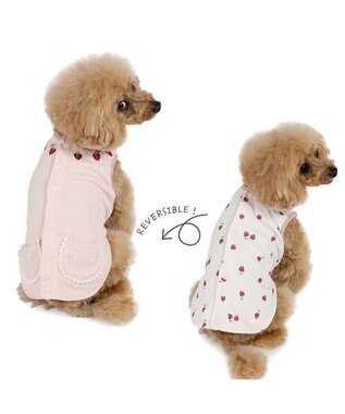 PET PARADISE ペットパラダイス やさしいベスト 《いちご柄》 小型犬 ピンク×ホワイト