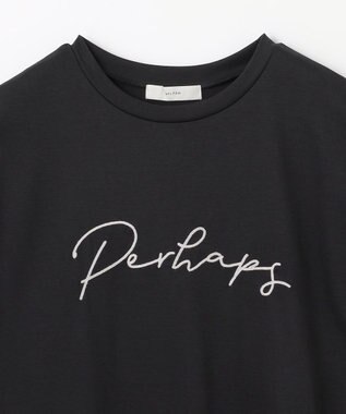 ANY 【汗ジミ防止加工】シルケットスムースフレンチスリーブ刺繍ロゴTシャツ ブラック