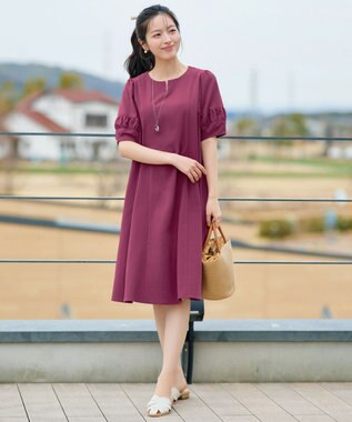 Tiaclasse 【選べる着丈・新色追加】ギャザーランタンスリーブワンピース 膝丈プラム