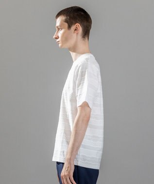 JOSEPH HOMME 新柄【ストレッチ/洗える】ジャガードボーダー　クルーネックTシャツ ホワイト系