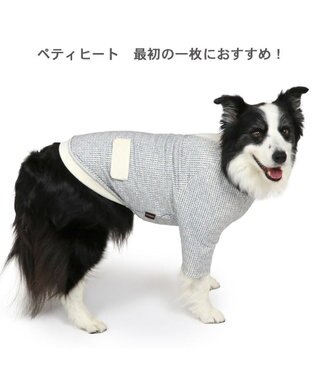 PET PARADISE ペットパラダイス ペティヒート 天竺 Tシャツ 《ニット柄》  中型犬 大型犬 ニット柄