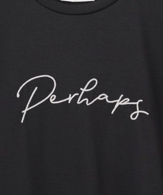 ANY 【汗ジミ防止加工】シルケットスムースフレンチスリーブ刺繍ロゴTシャツ ブラック