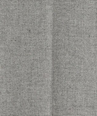 J.PRESS LADIES 【洗える】チェルビック テーパード パンツ ライトグレー系