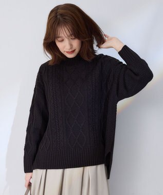 ANY 【6色展開】ソフトアクリルハイネックケーブルニット ブラック