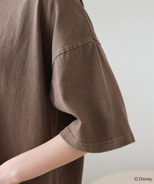 Green Parks スティッチ／ウ゛ィンテージ風ピグメントＴシャツ Brown