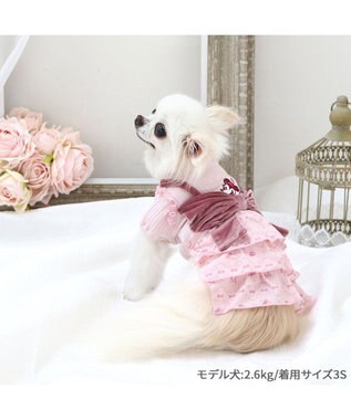 PET PARADISE ディズニー ミニーマウス ワンピース 《モノグラム柄》 小型犬 モノグラム柄