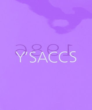 Y'SACCS パラコード編み込みトート パープル