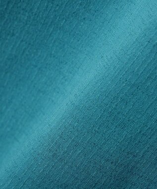 Green Parks 半袖シアースキッパーブラウス Blue