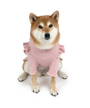 PET PARADISE ペットパラダイス  プレミアムペティヒー ト 花フリルTシャツ  中型犬 ピンク