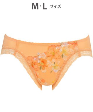 WACOAL ショーツ 【ハグするブラ】 BRB498とペア はきこみ丈あさめ ナイロンベア天竺素材(バック) レディース PRA198 /ワコール