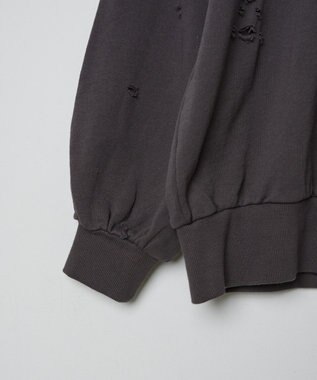 WEGO ダメージスウェット 柄3