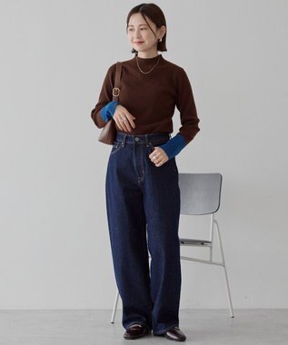 AMERICAN HOLIC バイパチ袖配色リブプルオーバー Brown