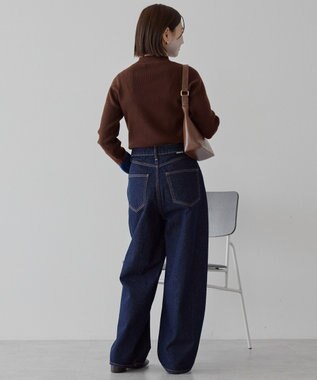 AMERICAN HOLIC バイパチ袖配色リブプルオーバー Brown