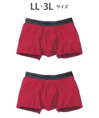 WACOAL MEN ボクサーパンツ 2枚セット 【オーガニック綿混ボクサー】 快適 吸汗速乾 抗菌防臭 やさしい肌あたり フリーカッティング(裾部分) 環境に配慮 前閉じ GT2310 /ブロス バイ ワコールメン