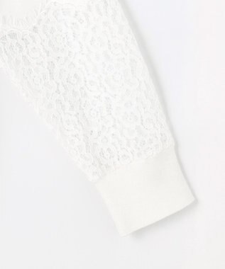 自由区 L 【洗える】レースコンビ ニット オフホワイト