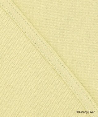 ANY Disney100thデザイン 半袖Tシャツ イエローグリーン