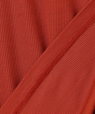 ANY L 【新色追加】シアーコンビタートル オレンジ