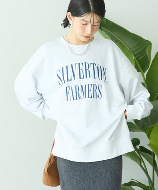 AMERICAN HOLIC アソートカレッジロゴ裏毛プルオーバー Gray Mixture