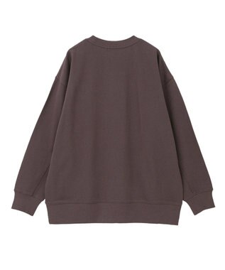 AMERICAN HOLIC アソートカレッジロゴ裏毛プルオーバー Brown