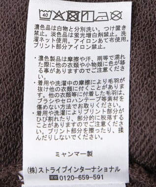 AMERICAN HOLIC アソートカレッジロゴ裏毛プルオーバー Brown