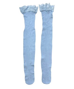 WEGO 総レースカラーハイソックス サックス