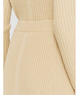 JOSEPH シルクブレンド　Aラインスカート Champagne