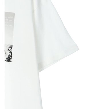 AMERICAN HOLIC Ｓｋｙ　Ｐｈｏｔｏ　Ｔｅｅ A