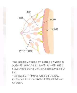 BRADELIS New York 【BRADELIS NewYork / バストにハリ・ツヤ】ブラデリス バストケアマッサージクリーム 200g その他