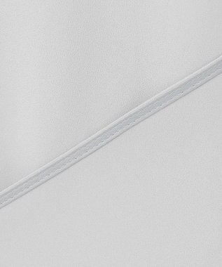 BEIGE， 【洗える・L-size】EVA / ボウタイロングスリーブブラウス Ice Blue