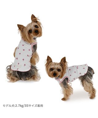 PET PARADISE ペットパラダイス はじめて タンクトップ 《いちご》 小型犬 ホワイト