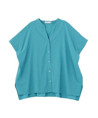 Green Parks 半袖シアースキッパーブラウス Blue