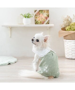 PET PARADISE ペットパラダイス ナチュラル パンツつなぎ 《小花 》 小型犬 グリーン