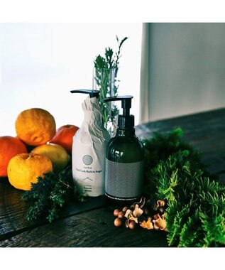 antina gift studio Komons(コモンズ) / ハンドケアコンビ(ハンドソープ・食器用洗剤)