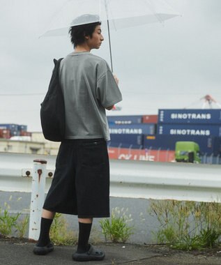 WEGO ピグメントBIGロゴボックスT（SS） グレー