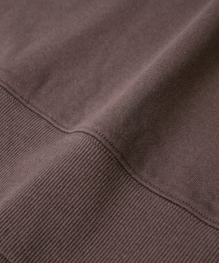 AMERICAN HOLIC アソートカレッジロゴ裏毛プルオーバー Brown