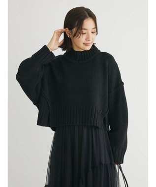 Green Parks ・ＳＵＧＡＲ　ＳＰＯＯＮ　ハイネックショートニット Black