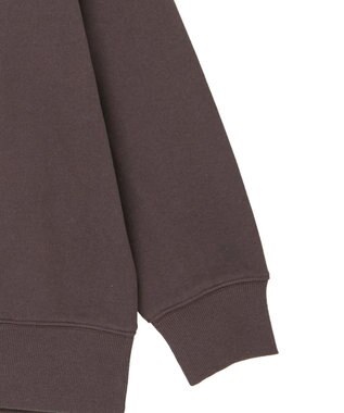 AMERICAN HOLIC アソートカレッジロゴ裏毛プルオーバー Brown