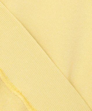 J.PRESS YORK STREET 【UNISEX】ラガータイプラグラン 裏毛トレーナー イエロー系