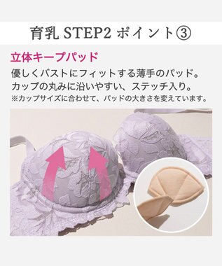 BRADELIS New York 【BRADELIS New York/ 育乳補整ブラ・STEP2 寄せる】ベルステップ2ブラ26S2 ライラック