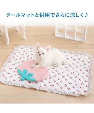 PET PARADISE ペットパラダイス クール枕 《苺》 ピンク