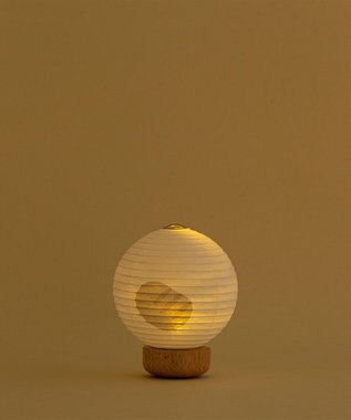 ちょうちん堂 【ころりどうぶつ】サバトラ猫 SABATORA ちょうちん ライト ホワイト