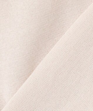 J.PRESS LADIES 【洗える】DRY COTTON ニットポロ ベージュ×ダークブラウン系