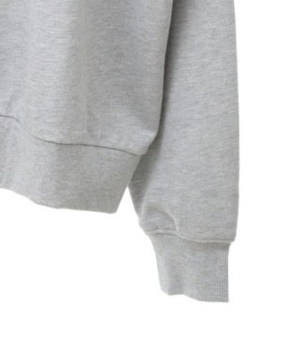 Green Parks ミッキー＆フレンズ／プリント裏毛プルオーバーⅡ Gray Mixture