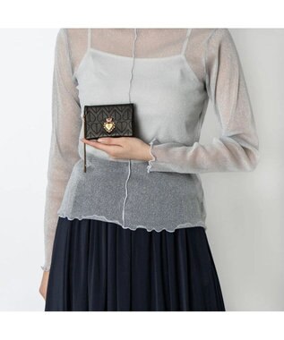 ANNA SUI ドリーミー 二面パスケース クロ