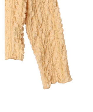 Green Parks ・ＲＡＹ　ＣＡＳＳＩＮ　フクレジャカードプルオーバー Orange