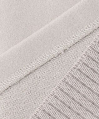 J.PRESS LADIES L ニードルパンチ ハイネック カットソー ベージュ系